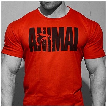 Animal Iconic T-Shirt Rossa